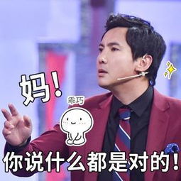  沈腾吹彩虹屁表情包我随我妈,貌美如花