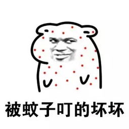  表情与斗图最火的坏坏表情包大全