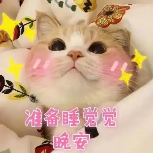  表情包不想睡觉想睡你