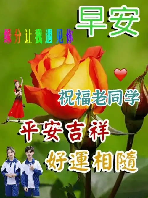  最新老同学早上好表情图片,吃好玩好心情好,笑迎夕阳永不老