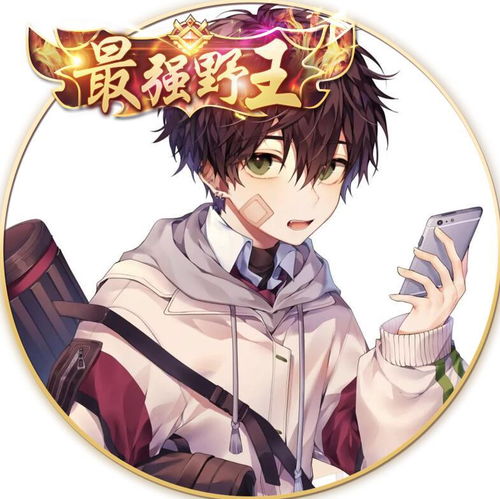 最强野王职业头像