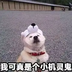  和家里人一起玩游戏是一种怎么样的体验