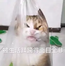  该精致还是得精致