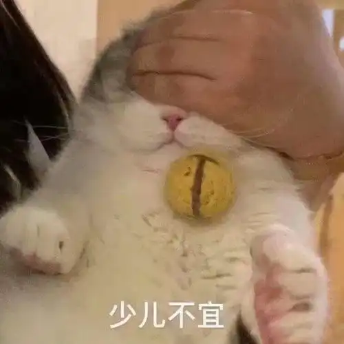  好哇好哇打起来打起来第303期喵表情包