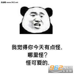  你累不累你在我脑子里跑了一天了图片情话套路表白表情包下载乐游网游戏下载