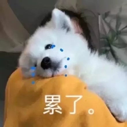 谁喝酒谁是狗表情包沙雕