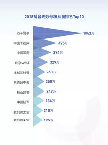  2018年抖音大数据报告附下载