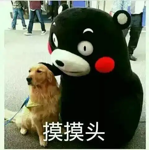  从做梦到创梦