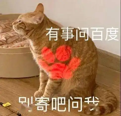  这也太可爱了