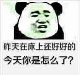  永远的熊猫,永远的金馆长斗图界的王者