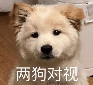 求求对郑州好点吧网友哭诉涝疫结核给孩子留条活路