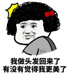  有人约我做头发搞笑表情包我做头发回来了