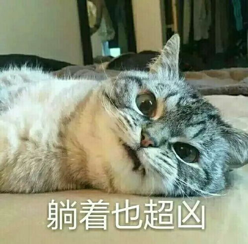  165表情包搞笑创意手机唯美内涵动漫重口味来一波表情包不定期更新