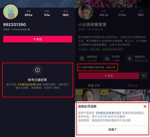  抖音上线帐号处罚公示功能提升违规打击工作透明度