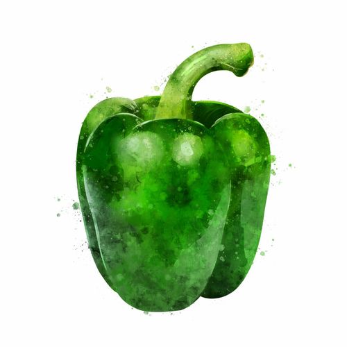  水彩手绘水果1293手绘水彩蔬菜