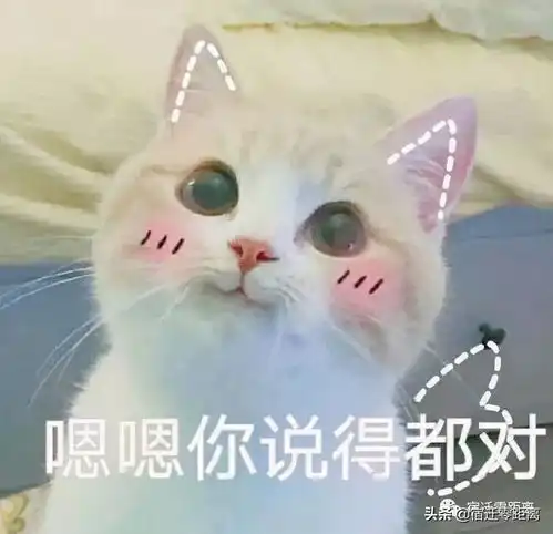  实地探访网友口中宿迁最贵学区房,单价近3万㎡,还在涨