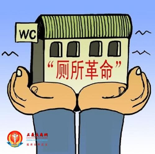  安徽强推旱厕改造,居民厕所被拆3年无法使用
