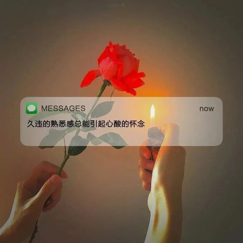  三两朋友,环游世界