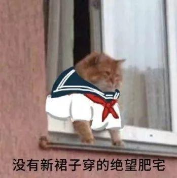  诶我喜欢的人还不回我消息
