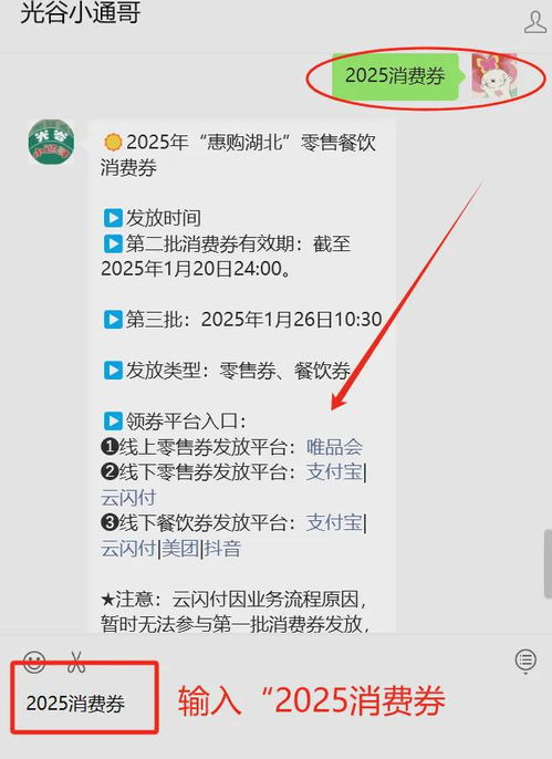  别错过2025湖北消费券火热来袭,速来领取