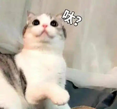  大家都养过哪些奇奇怪怪的宠物不要笑