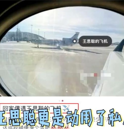  33岁王思聪坐私人飞机与众美女庆生,花百万包游艇,表情略显羞涩