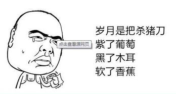  你2016都做了啥