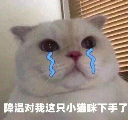  冻哭警告9跨年将遇霸王级寒潮预警淮北发布紧急通知