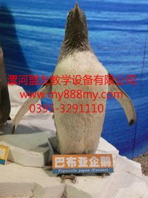  网络114