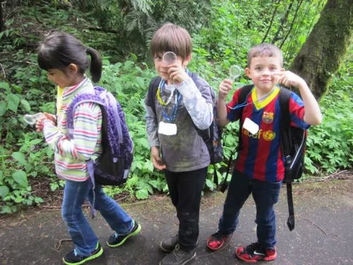  乡村旅游开发丨在森林开办学校