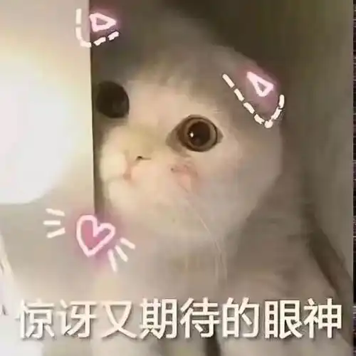闪瞎眼灯动图表情包
