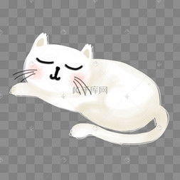  白色猫咪图片白色猫咪图片素材免费下载千库网