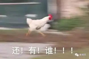  过季的衣服这样收纳,再买100件也不怕