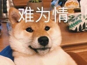 有一部电影考考各位鹅其实就是想不起来了