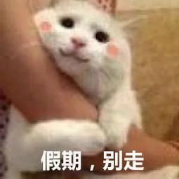  超冷空气发货,大风包邮,气温暴跌至零下就在这天
