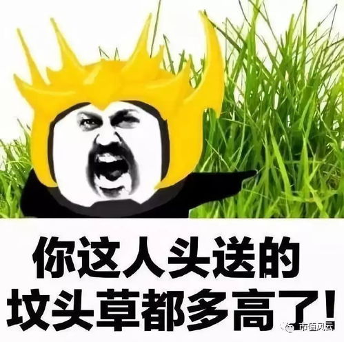  金龙机电外延并购炸雷前夜,47家机构成功逃顶