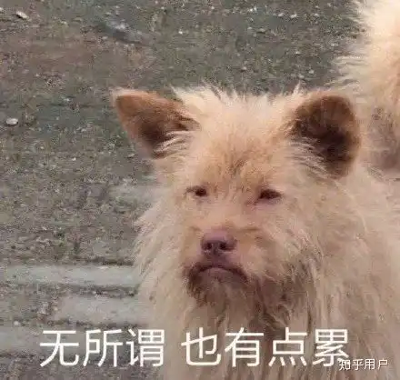  你见过最脏的女孩到底有多脏
