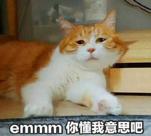  家长管不了,老师不敢管,乡镇初中学校成了问题学生的集中营
