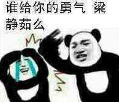  梁静茹给的勇气是什么梗