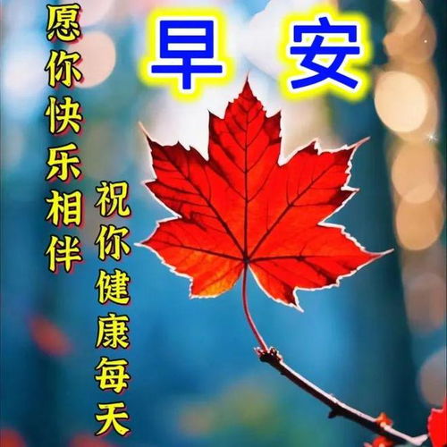 周日吉祥牵挂是美丽的鲜花,思念是情感的升华早安祝福美图分享给您网易订阅