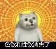  许愿池的王八少女男主真的不是洛丽塔情结吗