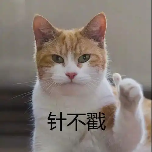  此研究生非彼研究生多花一年读预科有必要吗