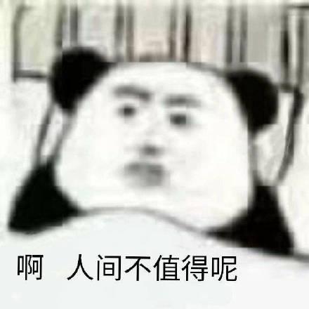  最新幽默搞笑表情包啊人间不值得,今天可爱百分百