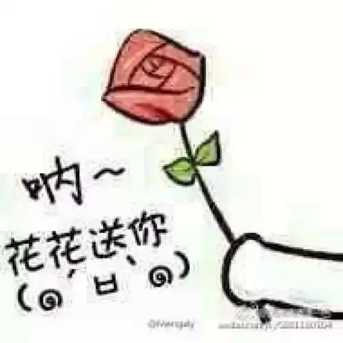 花花给你的表情包表情