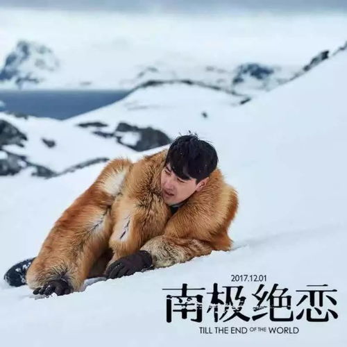  南极绝恋,穿越生死