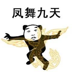 冰天百花葬表情包视频