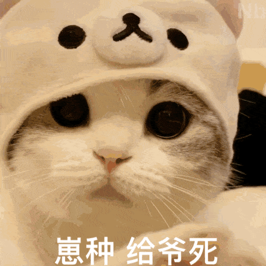  搞笑沙雕表情包i用尿吡你