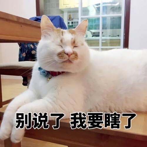  如何优雅而不失风度地,用表情包让对方闭嘴好了二狗不要再说了