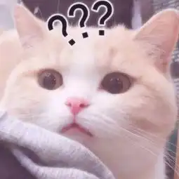  猫咪表情包合集你看我像猪吗
