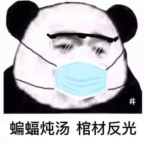  东北人为什么不吃野味东北野生动物我看你们像野味
